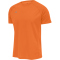 newline Core Laufshirt kurzarm Herren orange tiger S