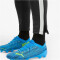 PUMA teamLIGA Trainingsshose PUMA black/PUMA white M