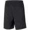 PUMA teamRISE Trainingsshorts PUMA black/PUMA white S