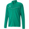PUMA teamRISE Trainingsjacke pepper green/puma white M