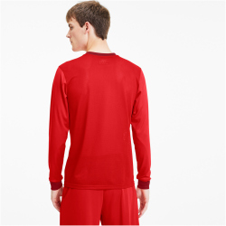 PUMA teamGOAL 23 langarm Trainingsshirt puma red/chili pepper L