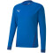 PUMA teamGOAL 23 langarm Trainingsshirt electric blue lemonade/team power blue 3XL
