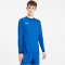 PUMA teamGOAL 23 langarm Trainingsshirt electric blue lemonade/team power blue 3XL