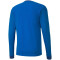 PUMA teamGOAL 23 langarm Trainingsshirt electric blue lemonade/team power blue M