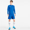 PUMA teamGOAL 23 langarm Trainingsshirt electric blue lemonade/team power blue L