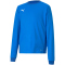 PUMA teamGOAL 23 langarm Trainingsshirt Kinder electric blue lemonade/team power blue 152