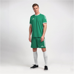 DERBYSTAR Primo Trikot grün/weiß 116/128