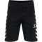 hummel hmlRAY 2.0 Freizeitshorts Herren
