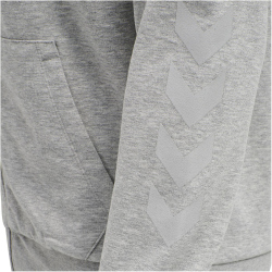 hummel hmlISAM Freizeit Kapuzenjacke Herren