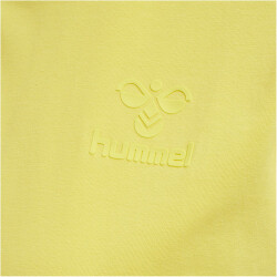 hummel hmlISOBELLA T-Shirt kurzarm Damen celandine S
