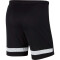 NIKE Academy 21 Knit Fußball Shorts Kinder