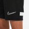 NIKE Academy 21 Knit Fußball Shorts Kinder