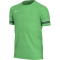 NIKE Dri-FIT Academy Fußballtrikot Kinder