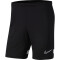 NIKE Dri-FIT Academy Fußball Shorts Herren