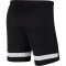 NIKE Dri-FIT Academy Fußball Shorts Herren