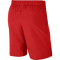NIKE Flex Woven Trainingsshorts Herren