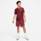 NIKECourt Dri-FIT Advantage Tennis Polo Herren dark beetroot/dark beetroot/wh S