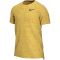 NIKE Pro Dri-FIT kurzarm Trainingsshirt Herren wheat/solar flare/htr/black S