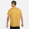 NIKE Pro Dri-FIT kurzarm Trainingsshirt Herren wheat/solar flare/htr/black S