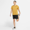 NIKE Pro Dri-FIT kurzarm Trainingsshirt Herren wheat/solar flare/htr/black S