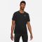 NIKE Rise 365 Dri-FIT kurzarm Laufshirt Herren 013 - black/reflective silv M