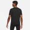 NIKE Rise 365 Dri-FIT kurzarm Laufshirt Herren 013 - black/reflective silv L