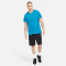 NIKE Dri-FIT Trainingsshorts 010 - black/white S