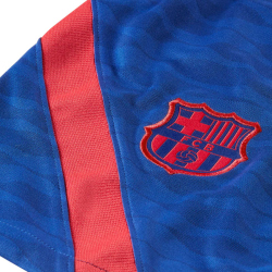 NIKE FC Barcelona Herren Fu&szlig;ballshorts deep royal blue/lt fusion red L