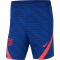 NIKE FC Barcelona Herren Fu&szlig;ballshorts deep royal blue/lt fusion red L