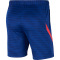 NIKE FC Barcelona Herren Fu&szlig;ballshorts deep royal blue/lt fusion red L