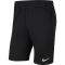 NIKE Park 20 Dri-FIT Knit Coach/Travel Shorts Herren