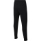 NIKE Park 20 Fleece Jogginghose Kinder