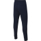 NIKE Park 20 Fleece Jogginghose Kinder
