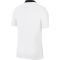 NIKE Park 20 Dri-FIT Fußball Poloshirt Herren