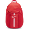 NIKE Academy Team Rucksack university red/black/white