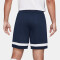 NIKE Dri-FIT Academy Fußball Shorts Herren obsidian/white/white/white S