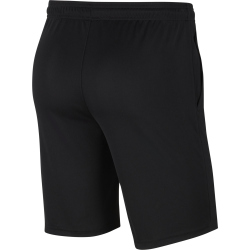 NIKE Park 20 Dri-FIT Knit Coach/Travel Shorts Herren...