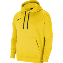 NIKE Park 20 Fleece Hoodie Herren tour yellow/black/black L