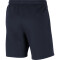 NIKE Park 20 Fleece Sweatshorts Kinder obsidian/white/white XS (122-128 cm)