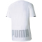 PUMA Train Graphic kurzarm Trainingsshirt Herren
