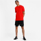 PUMA Train Graphic kurzarm Trainingsshirt Herren