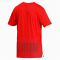 PUMA Train Graphic kurzarm Trainingsshirt Herren