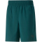 PUMA Train Fav Blaster 7 Trainingsshorts Herren