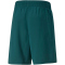 PUMA Train Fav Blaster 7 Trainingsshorts Herren