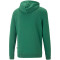 PUMA Ess+ Metallic 2 Col Big Logo Terry-Hoodie