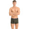 6er Pack PUMA Basic Trunk Boxershorts dark green combo M