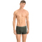 10er Pack PUMA Basic Trunk Boxershorts green melange S