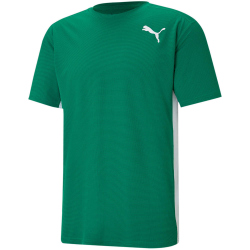 PUMA Cross The Line Trainingsshirt 2.0 power green/puma white 3XL