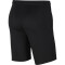 NIKE Park 20 Knit Fußballshorts Kinder