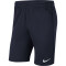 NIKE Park 20 Knit Fußballshorts Kinder